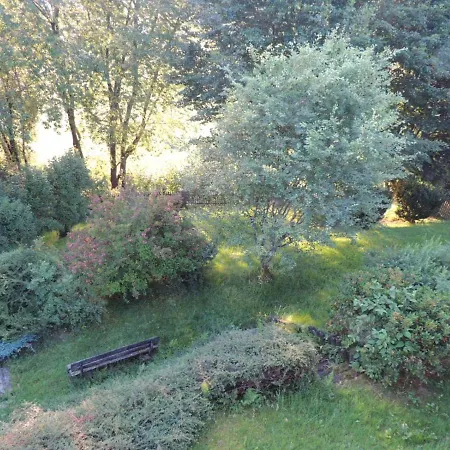 Fw Zauberblick *