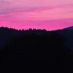 Fw Zauberblick Lejlighed Zwiesel