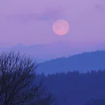 Fw Zauberblick Lejlighed *