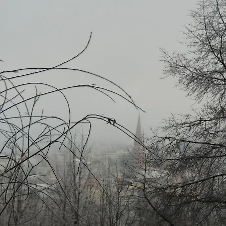 Fw Zauberblick Apartment *