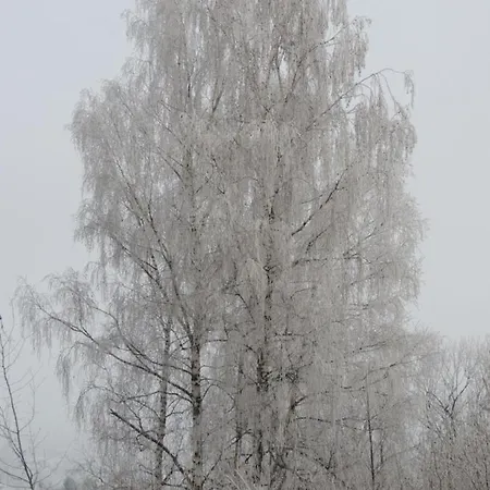 Fw Zauberblick Apartamento