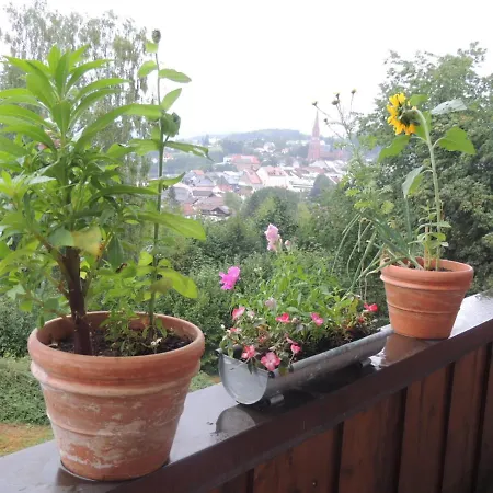 Fw Zauberblick Apartamento *