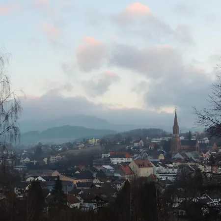Fw Zauberblick Appartamento Zwiesel