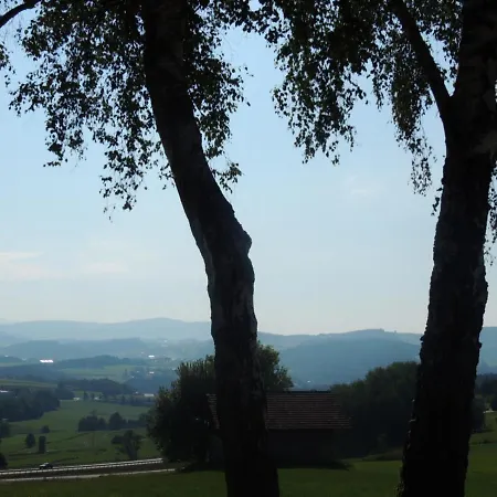 Fw Zauberblick *