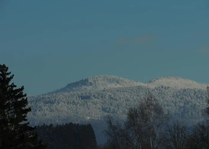 Fw Zauberblick *