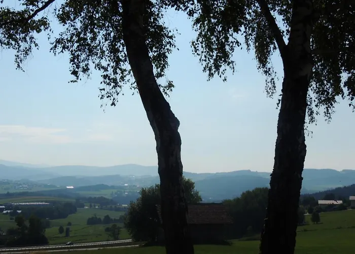 Fw Zauberblick *
